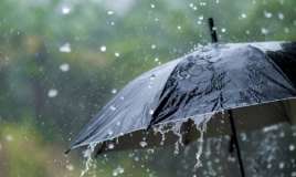 Sabahın hava proqnozu 