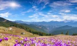 Aprelin son günü hava necə olacaq? 