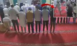 Məscidə girən ilan panikaya  səbəb oldu