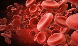 Qanınızın canlı görüntüsü nələrdən xəbər verir? -  FOTO