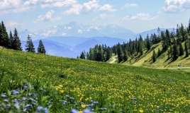 Sabahın hava proqnozu 