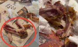 KFC müştərilərə qanlı toyuq satır? -  FOTO