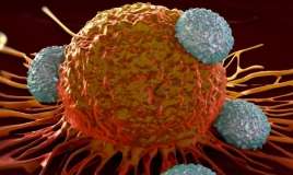 Keçirilmiş koronavirus xərçəngə səbəb olurmu? 