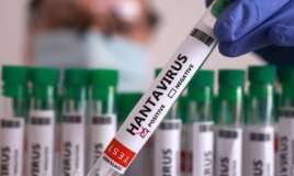Hantavirus qripə bənzəyir -  Necə ayırd etməli?