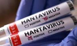 Hantavirus Türkiyədə   - Şübhəlilər karantində
