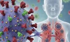 Yeni Hantavirusun müalicəsi varmı - Antibiotik, yoxsa kovid dərmanları?