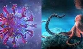 Yayılan qəribə virus  – Soyuqdəyməyə bənzəyən Kraken