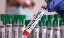 Hantavirusla bağlı qorxunc iddia:  İllərlə evdən çıxa bilməyəcəyik