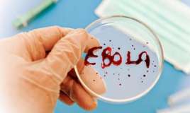 Ebola yayılır     - 1 gündə 15 nəfər öldü