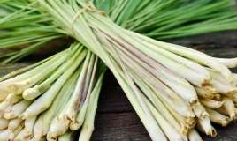 Limon otu xəstəliklərlə mübarizədə yeni ümid ola bilər 