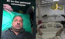 Elnur Kərimovu ilan sancdı -  FOTO