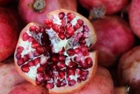 Nardakı ağ pərdə özü qədər faydalıdır 