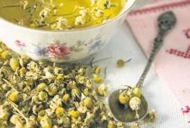 Zehni gücləndirən  5 bitki çayı