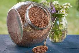 Bu toxum damarda iltihabı azaldır - Alimlər