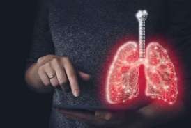 Ağciyərin gizli dərmanı mətbəxdədir:  Təbii təmizləmə resepti