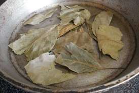 Avokado yarpaqlarını qaynadıb için -  Faydaları