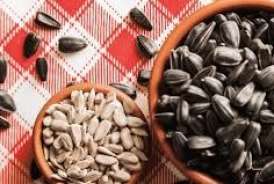 Günəbaxan tumları əsəb və ürək üçün    faydalı imiş