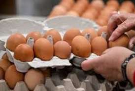 Toyuq yumurtasının gizli təhlükəsi 