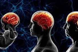 Bu məşqlər beyin qocalmasını yavaşıladır 