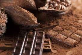 Əsl təbii şokoladla saxtanı necə ayırd edək? 