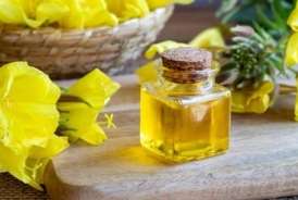 Təbiətin qızıl resepti:  Novruzçiçəyi yağı haqqında bilməli olduqlarınız