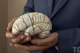 35 yaşdan sonra beynimizdə nə baş verir? 