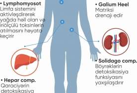 Azərbaycanda ilk hamiləliyə hazırlıq müalicə proqramı 