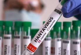 Hantavirusla bağlı qorxunc iddia:  İllərlə evdən çıxa bilməyəcəyik
