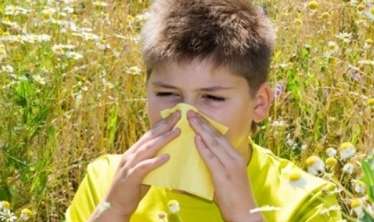 Allergik rinitin yaranma səbəbi nədir? 