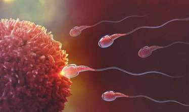 Arıqlamaq sperma sayını iki dəfə artırır -  Alimlər