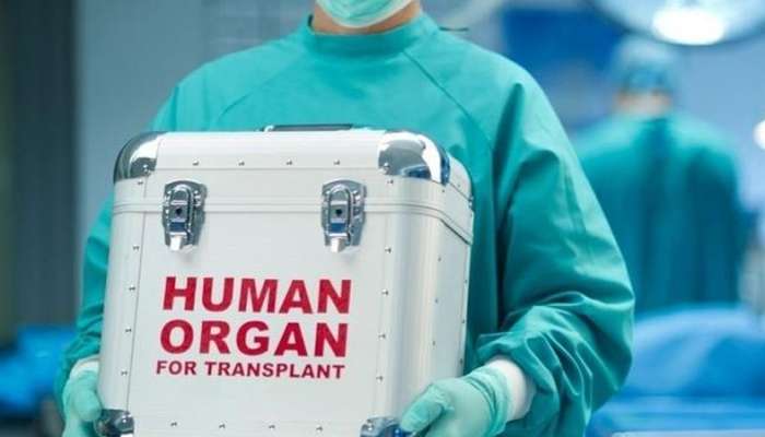 Sümük iliyi transplantasiyasına ehtiyac duyan şəxslərin sayı açıqlandı 