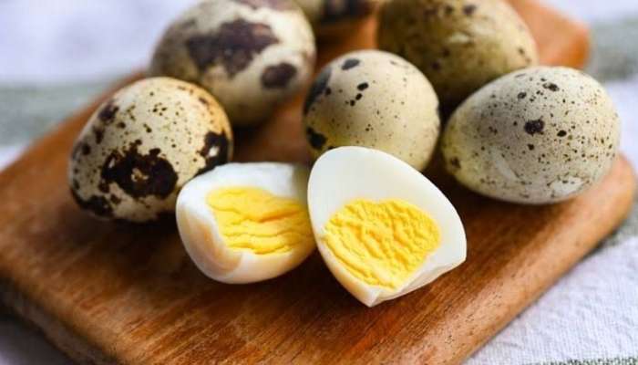 Bildirçin yumurtası uşağın nitqini açır? -  Loqopeddən cavab