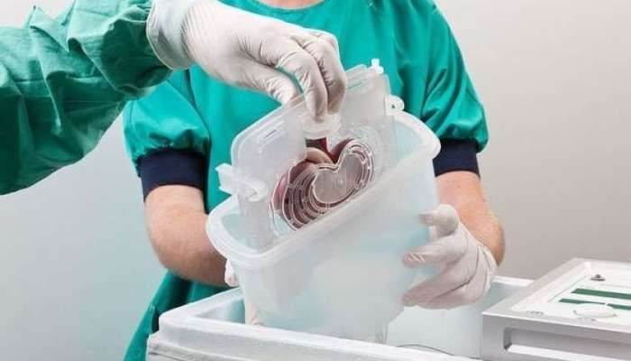 Orqan alveri edən qadın Qazaxıstana ekstradisiya edildi –  Azərbaycanda da fəaliyyət göstərib