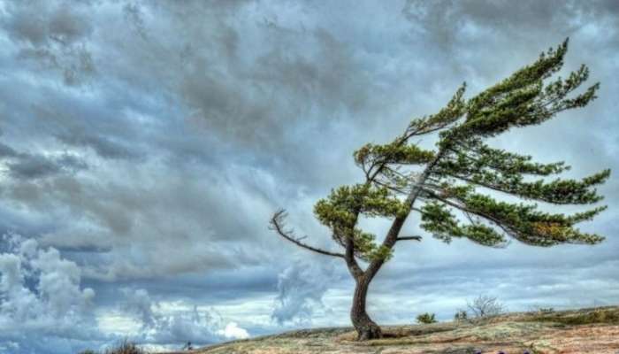 Hava ilə bağlı Sarı xəbərdarlıq 