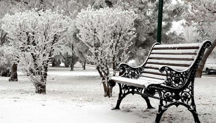 Sabahın hava proqnozu 