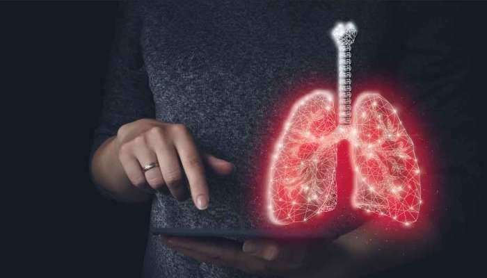 Ağciyərin gizli dərmanı mətbəxdədir:  Təbii təmizləmə resepti