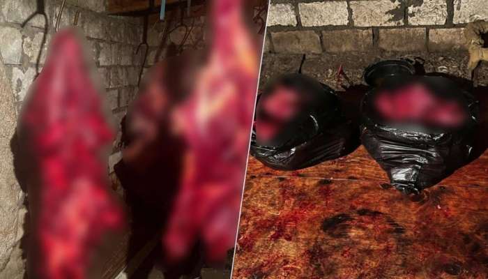 146 kq at ətini satmaq istəyənlər saxlanıldı - FOTO