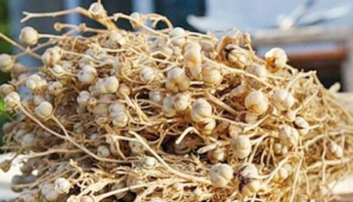 Səhiyyə Nazirliyi üzərliklə bağlı  əhaliyə müraciət etdi