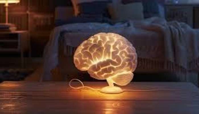 Çox fikir edənlərin ömrü qısalır  – Beyni necə “söndürək?”