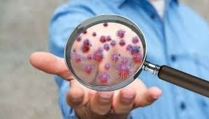 Avropada qida yolu ilə keçən infeksiyalar    yayılır