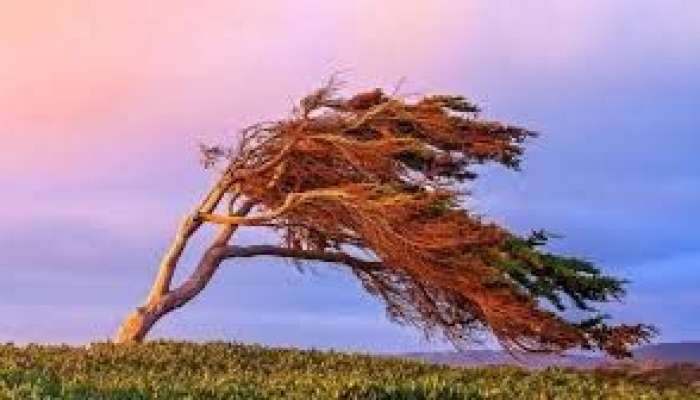 Hava ilə bağlı sarı    XƏBƏRDARLIQ