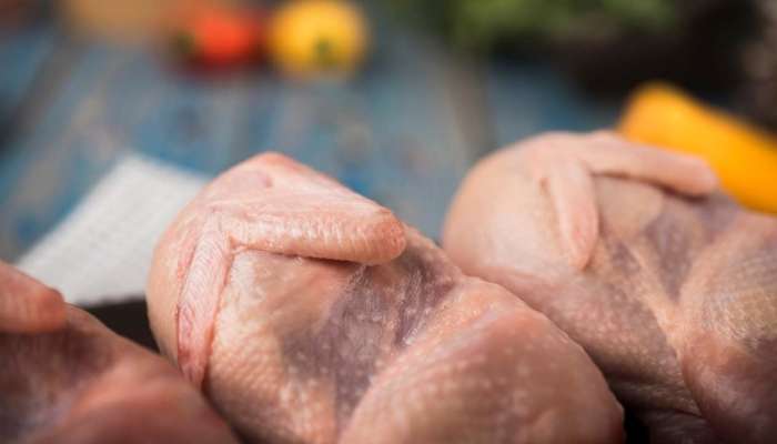 Görünməz təhlükə:  Toyuq zəhərlənməsi belə başlayır