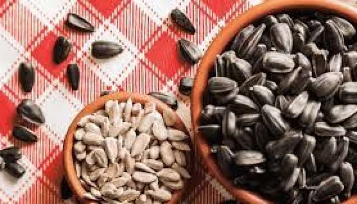 Günəbaxan tumları əsəb və ürək üçün    faydalı imiş