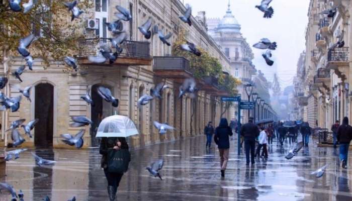 Sabahın hava proqnozu 