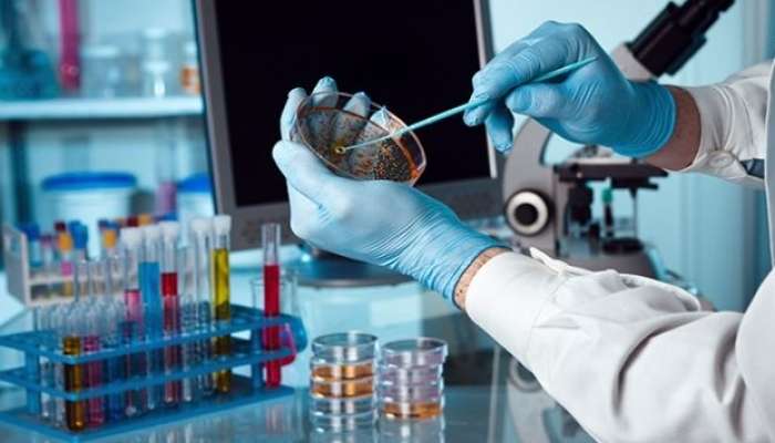 Xərçəngin dərmanı   60 il əvvəl tapılıb?