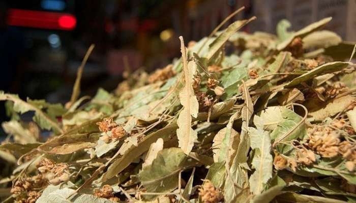 Hər gün bir fincan cökə çayı içməyin  möcüzəvi təsirləri