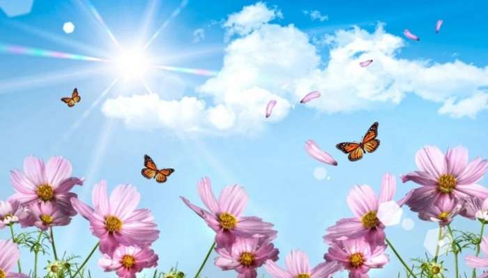 Sabah Azərbaycana yaz gəlir 