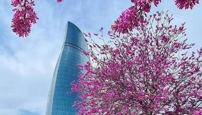 Şənbə gününün  hava proqnozu