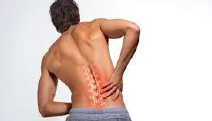 Araq içəndən sonra belin ağrıyırsa -  bu orqandan şübhələn