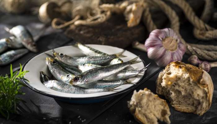 120 gün  sardina balığı yedi  – Başına nə gəldi?